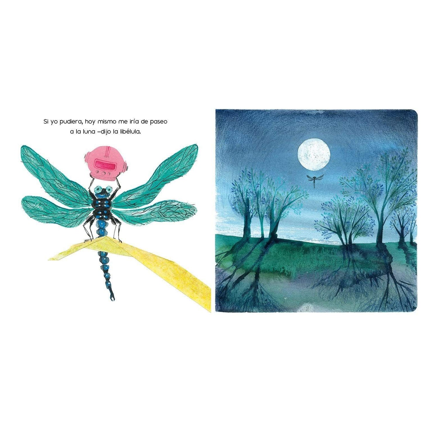 Libro Sueños en el jardín - Amanuta
