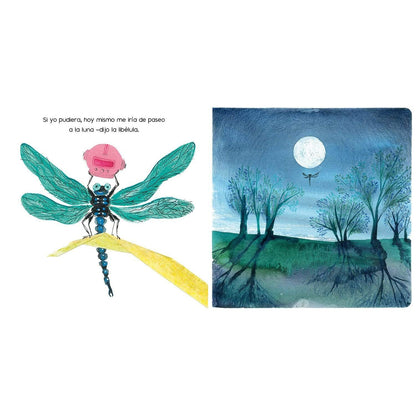 Libro Sueños en el jardín - Amanuta