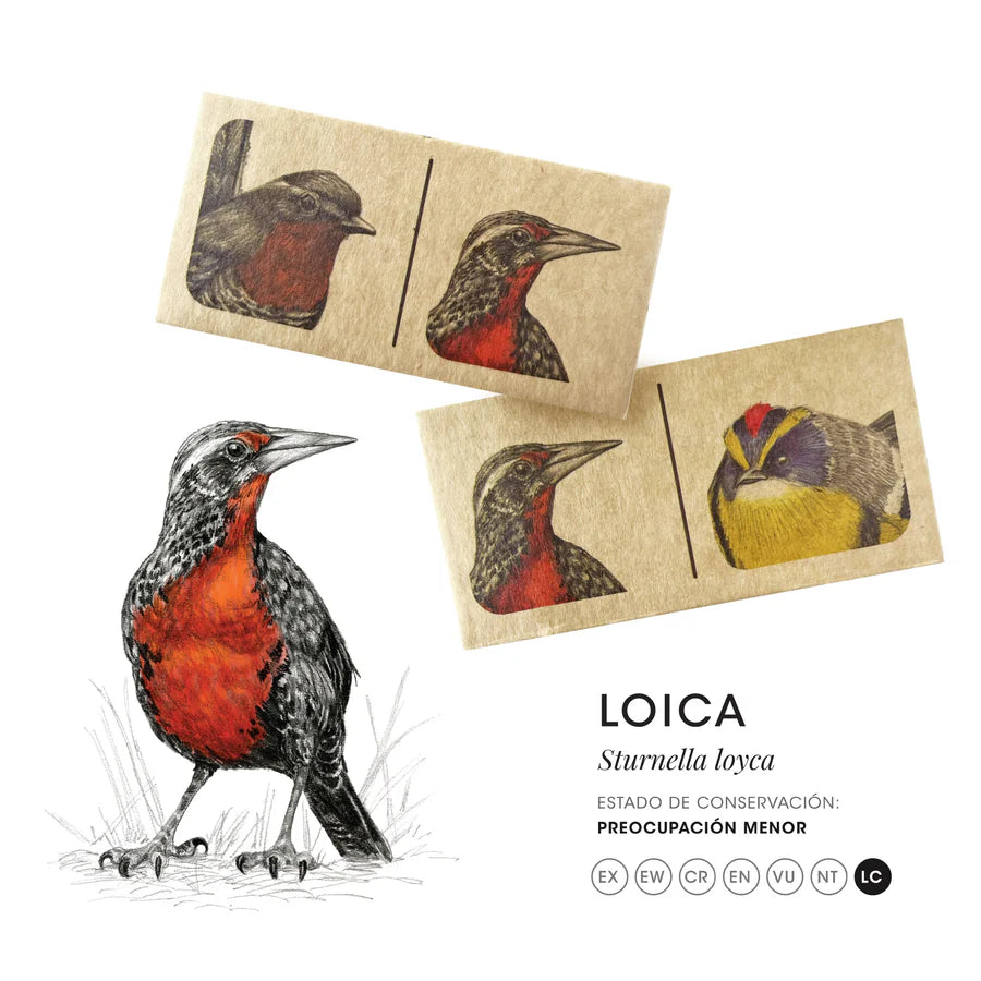 Dominó de aves