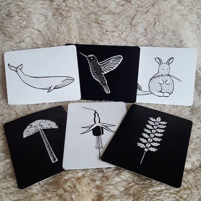 Tarjetas  estimulacion  VOQUI