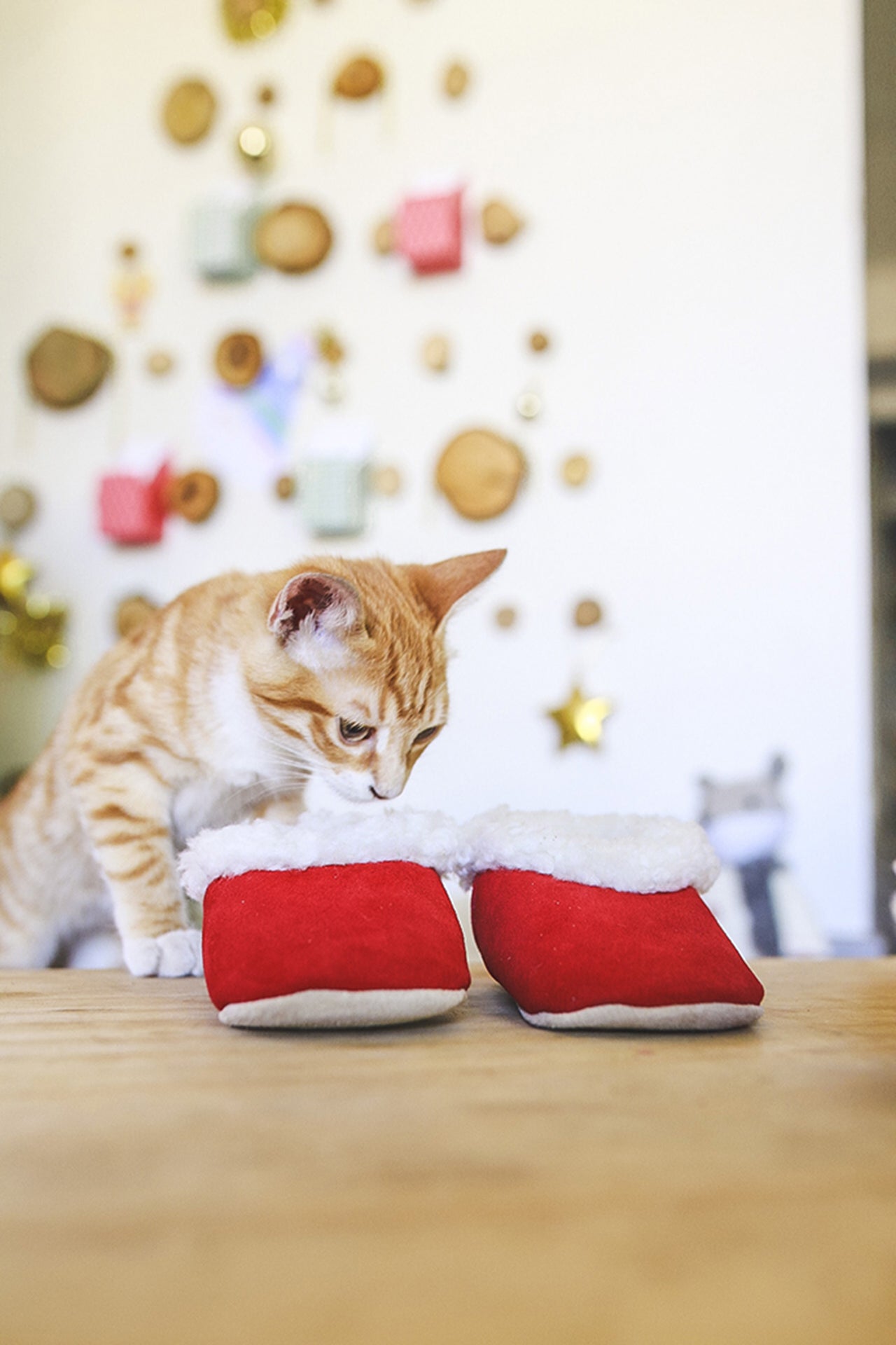Pantuflas Bebé Patagón
