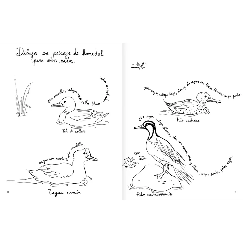 Libro colorear Pintapájaros - Amanuta