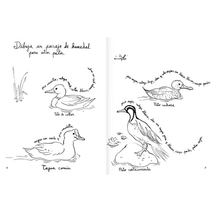 Libro colorear Pintapájaros - Amanuta