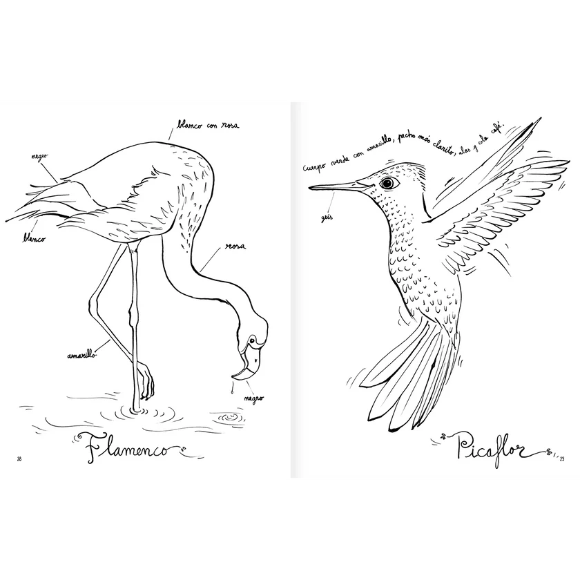 Libro colorear Pintapájaros - Amanuta