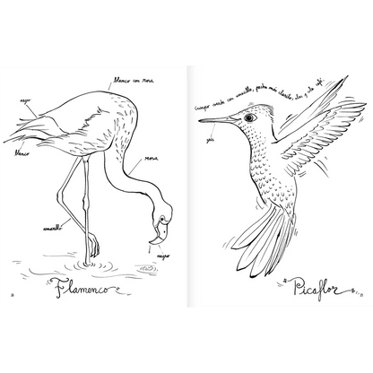 Libro colorear Pintapájaros - Amanuta